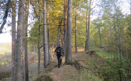 35. Nevėžio upės slėnio pažintinis takas.jpg